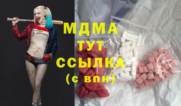 индика Медвежьегорск