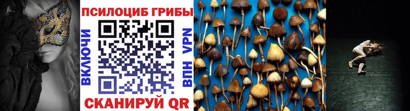 МЕГА   Калач  Галлюциногенные грибы мицелий 