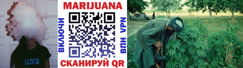 где купить наркоту  Калач  МЕГА как зайти  Бошки Шишки марихуана 